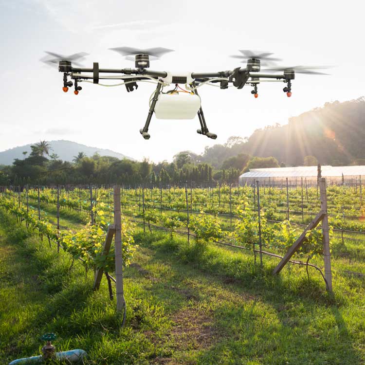 drones-help-feed-the-world